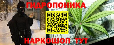 прущие грибы Среднеуральск