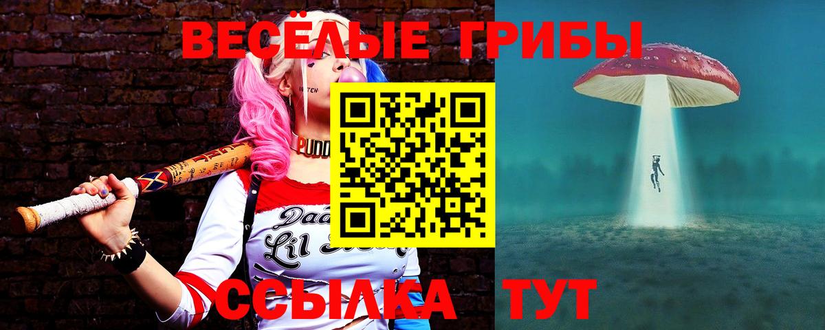 Псилоцибиновые грибы Psilocybe Волоколамск